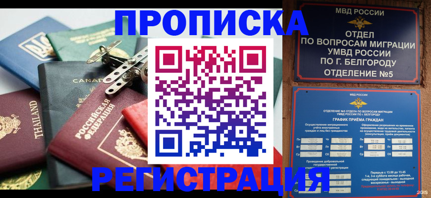 временная регистрация недорого в Артёме